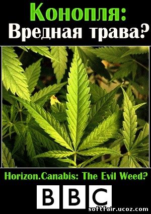Фильм bbc про коноплю как вычисляют плантации марихуаны