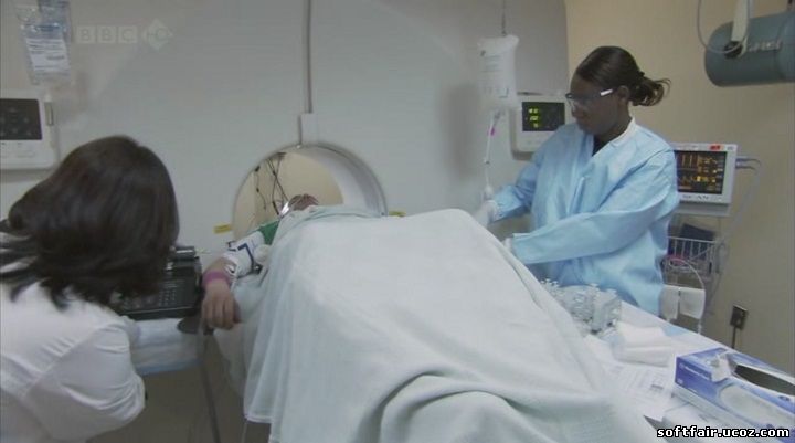Bbc horizon конопля вредная трава таблетки которые показывают марихуану